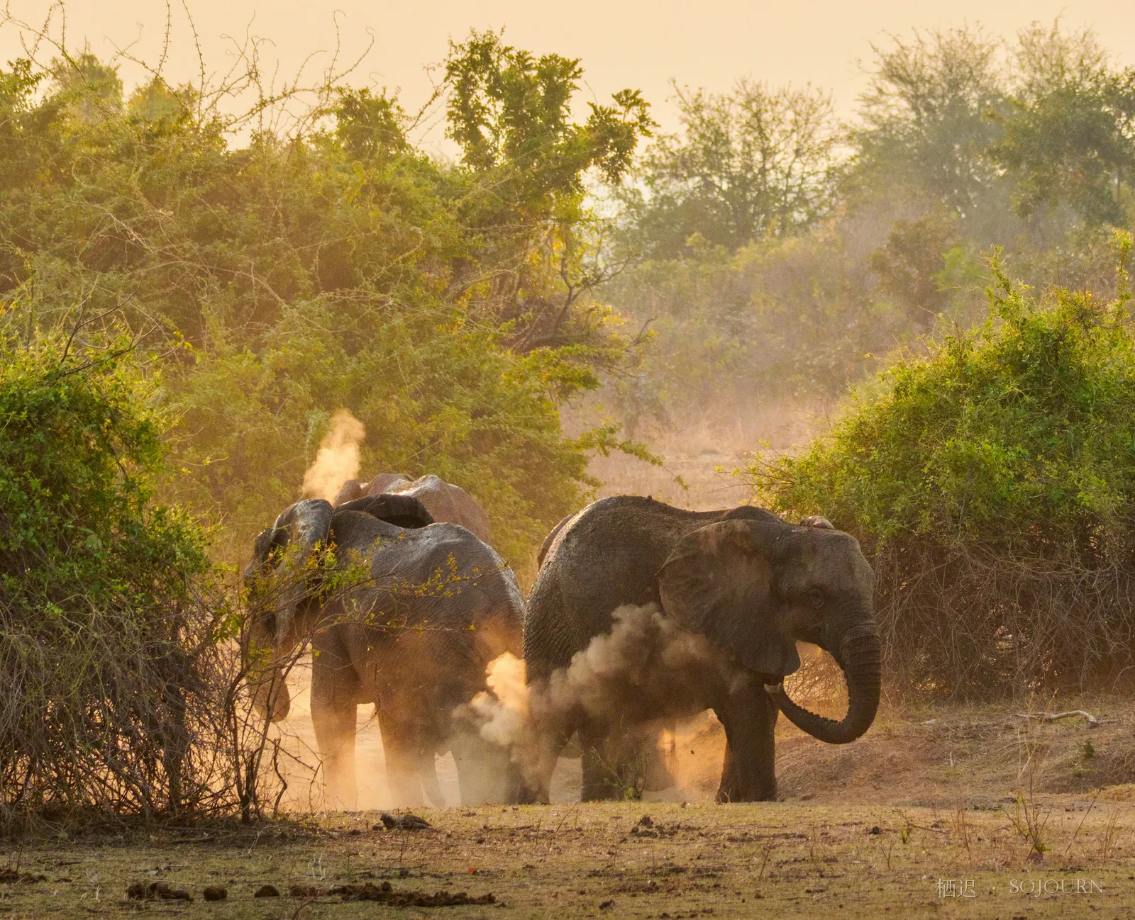 Dust and golden light