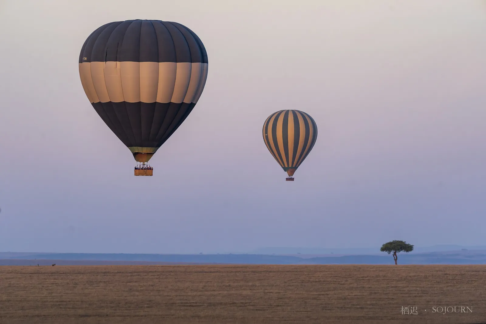 Dawn, Aloft