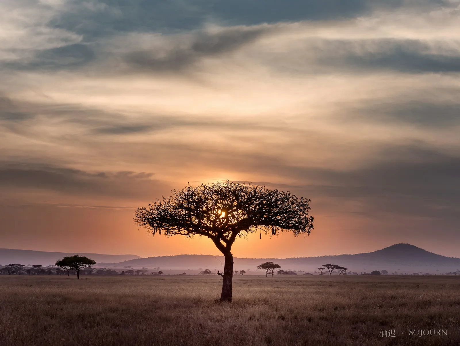 Silhouette of the plains
