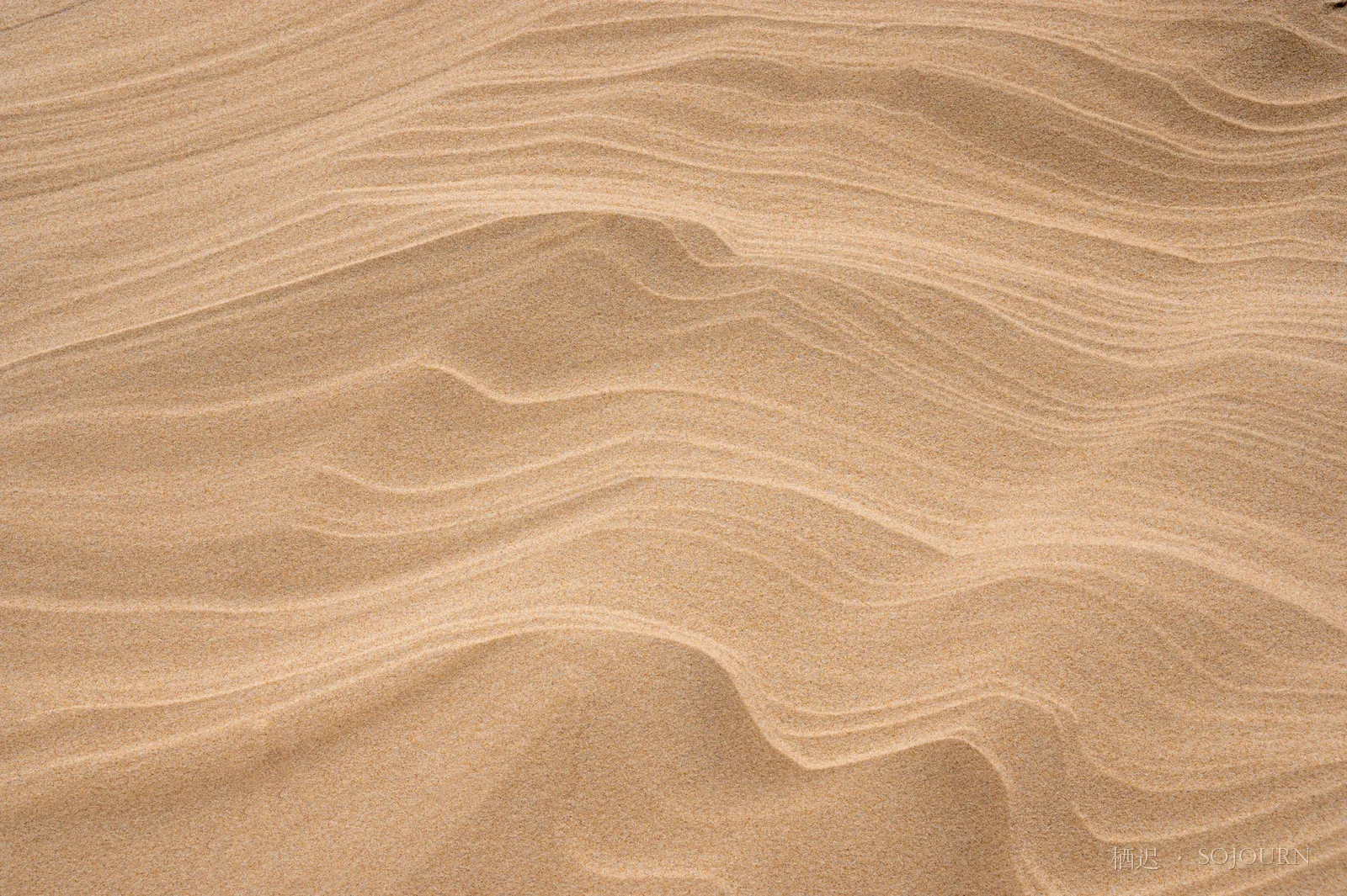 The wind’s handwriting