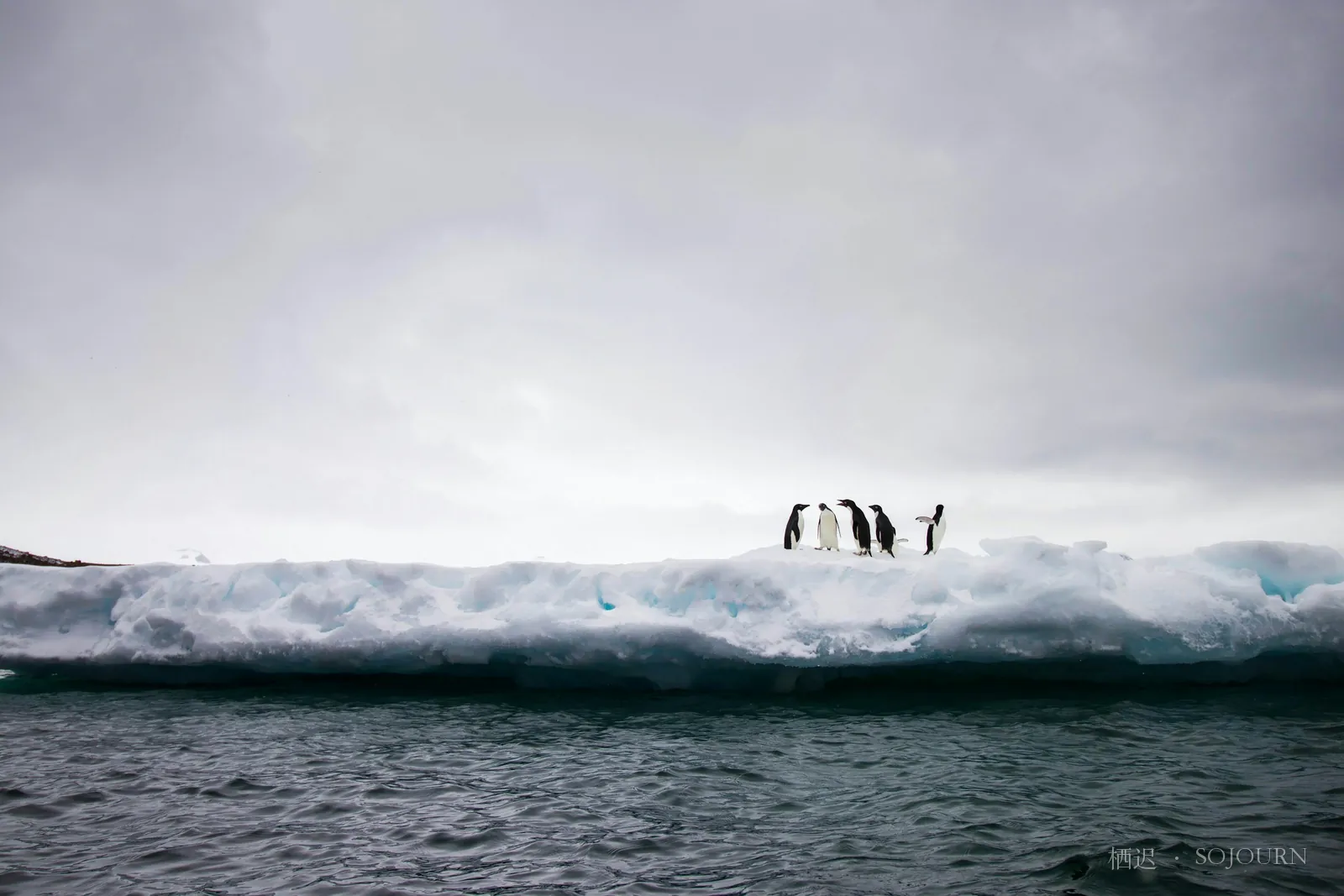 Onlookers on the ice
